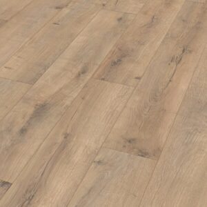 Roble agrietado Terra