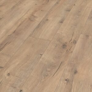 Roble agrietado Terra